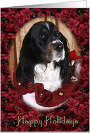 Happy Holidays - featuring an English Springer Spaniel surrounded by Poinsettias card