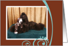 Chocolate Cocker Spaniel hugging a teddy bear card