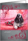 Don’t make beg ... be my valentine! - featuring a b/w parti Cocker Spaniel card