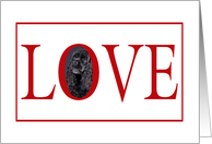 Valentine’s Love Greeting - featuring a black American Cocker Spaniel card