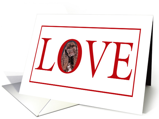 Valentine's Love Greeting - featuring a brown American... (759593)