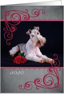 Don’t make me beg ... featuring a Wire Fox Terrier card