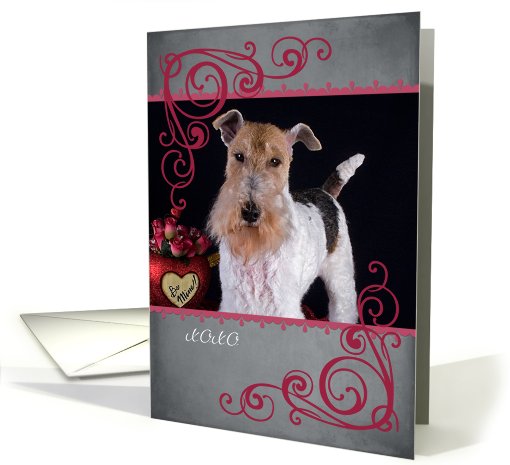 Don't make me beg ... featuring a Wire Fox Terrier card (759606)