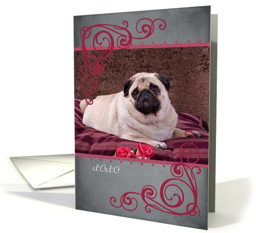 Don't make me beg ... featuring a Pug card (759609)