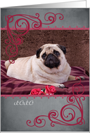 Don’t make me beg ... featuring a Pug card