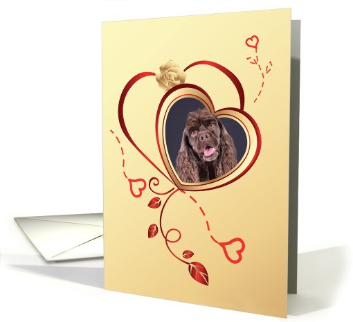 Valentine's Greeting - American Cocker Spaniel surrounded... (759611)