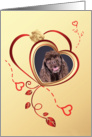 Valentine’s Greeting - American Cocker Spaniel surrounded by hearts & a white rose card