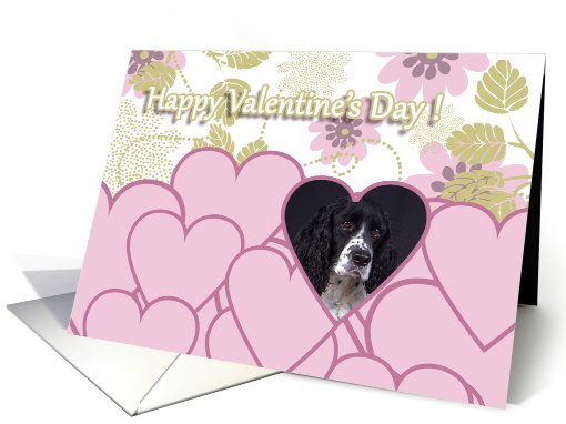 Valentine's Card - featuring a Springer/Cocker Spaniel Mix card