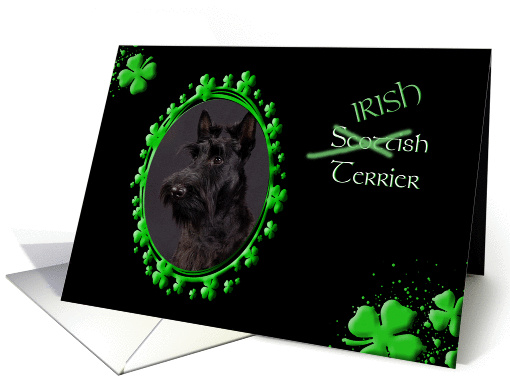 St Patrick's Greeting Card - (Irish) Scottish Terrier card (769138)
