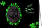 St Patrick’s Greeting Card - (Irish) Scottish Terrier card