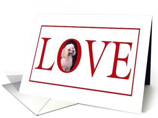 Valentine's Love Greeting - featuring a Miniature Poodle card (771576)