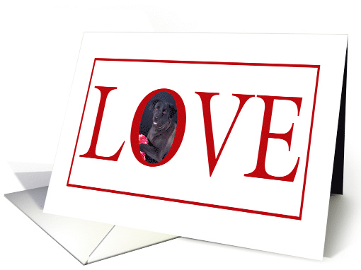 Valentine's Love Greeting - featuring a Mixed Breed Dog card (771578)