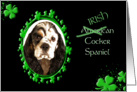 St Patrick’s Greeting Card - (Irish) American Cocker Spaniel card