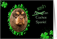 St Patrick’s Greeting Card - (Irish) American Cocker Spaniel card