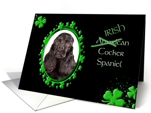 St Patrick's Greeting Card - (Irish) American Cocker Spaniel card