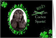 St Patrick’s Greeting Card - (Irish) American Cocker Spaniel card