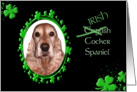 St Patrick’s Greeting Card - (Irish) English Cocker Spaniel card