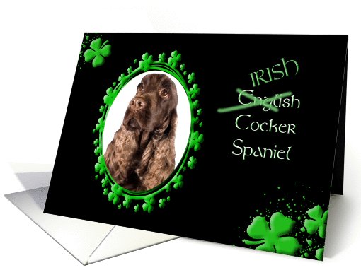 St Patrick's Greeting Card - (Irish) English Cocker Spaniel card