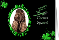 St Patrick’s Greeting Card - (Irish) English Cocker Spaniel card