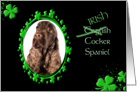 St Patrick’s Greeting Card - (Irish) English Cocker Spaniel card