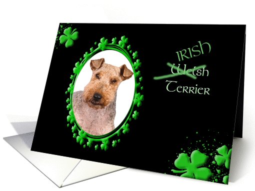 St Patrick's Greeting Card - (Irish) Welsh Terrier card (772188)