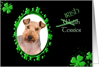St Patrick’s Greeting Card - (Irish) Welsh Terrier card