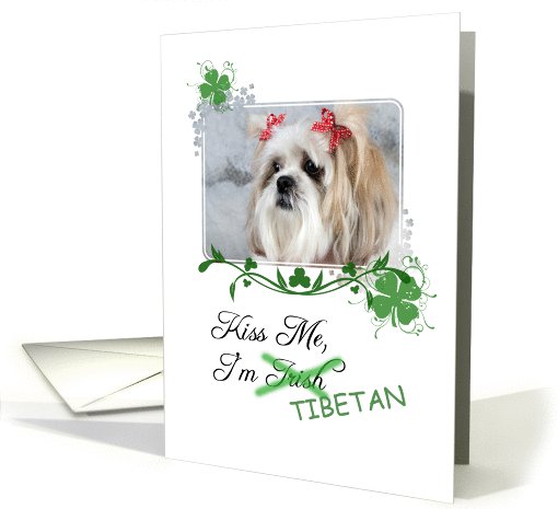Kiss Me, I'm Irish (Tibetan)! - St Patrick's Day card (772260)