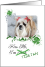 Kiss Me, I’m Irish (Tibetan)! - St Patrick’s Day card