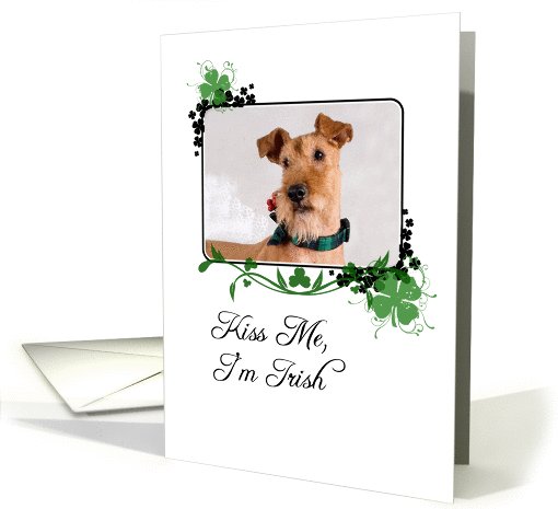 Kiss Me, I'm Irish - St Patrick's Day card (772373)