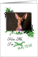 Kiss Me, I’m Irish (Maltese) - St Patrick’s Day card