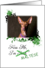 Kiss Me, I’m Irish (Maltese) - St Patrick’s Day card