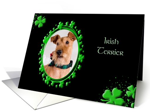 St Patrick's Greeting Card - Irish Terrier card (772517)