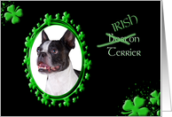 St Patrick’s Greeting Card - (Irish) Boston Terrier card