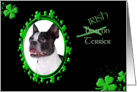 St Patrick’s Greeting Card - (Irish) Boston Terrier card