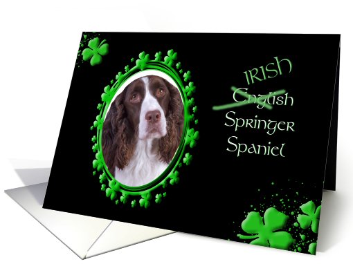 St Patrick's Greeting Card - (Irish) English Springer Spaniel card