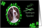 St Patrick’s Greeting Card - (Irish) English Springer Spaniel card