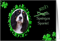St Patrick’s Greeting Card - (Irish) English Springer Spaniel card