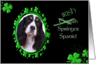 St Patrick’s Greeting Card - (Irish) English Springer Spaniel card