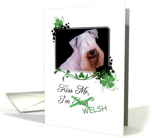 Kiss Me, I'm Irish (Welsh)! - St Patrick's Day card (772774)