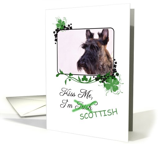 Kiss Me, I'm Irish (Scottish)! - St Patrick's Day card (772777)