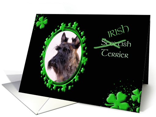 St Patrick's Greeting Card - (Irish) Scottish Terrier card (772781)