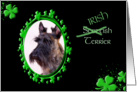 St Patrick’s Greeting Card - (Irish) Scottish Terrier card