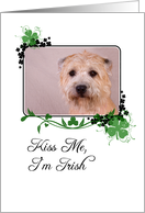 Kiss Me, I’m Irish! - St Patrick’s Day card