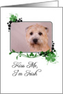 Kiss Me, I’m Irish! - St Patrick’s Day card