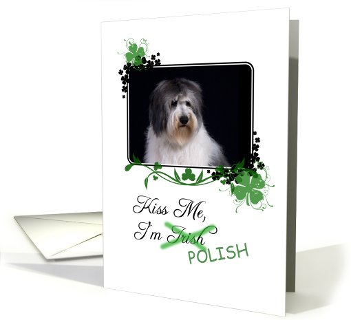 Kiss Me, I'm Irish (Polish)! - St Patrick's Day card (772959)