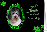 St Patrick’s Greeting Card - (Irish) Polish Lowland Sheepdog card