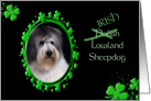 St Patrick’s Greeting Card - (Irish) Polish Lowland Sheepdog card