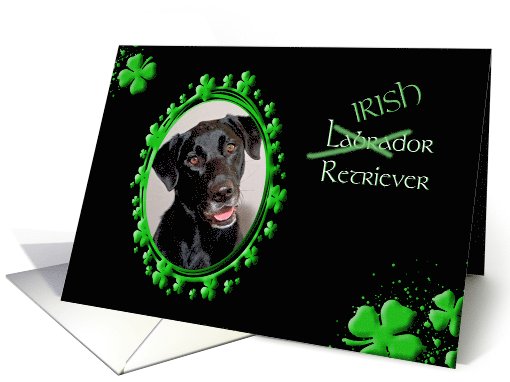 St Patrick's Greeting Card - (Irish) Labrador Retriever card (773072)
