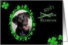 St Patrick’s Greeting Card - (Irish) Labrador Retriever card