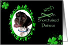 St Patrick’s Greeting Card - (Irish) German Shorthaired Pointer card